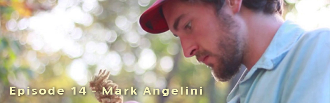 Mark Angelini