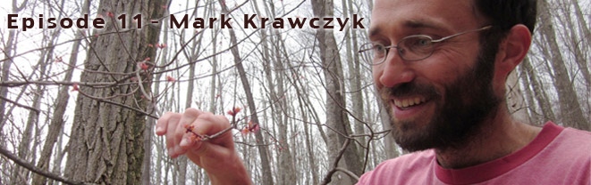 Mark Krawczyk
